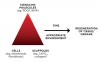 Figure 1  The active (tissue engineering) approach to regenerating tissues generally combines three key elements: scaffolds (tissue-specific matrices), signaling molecules (growth factors/morphogens), and cells. By combining these key elements, tissue regeneration often can be accomplished.<sup>1</sup> Used with permission from: Lynch S. Introduction. In Lynch S, et al. Tissue Engineering Applications in Oral and Maxillofacial Surgery and Periodontics, 2nd ed. Hanover Park, IL: Quintessence Publishing Co, Inc.; 2008.