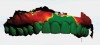 (13. AND 14.) Comparison of intraoral scans taken 1-year apart. The green areas indicate a high correlation between the two scans (ie, no changes in the dentition) The red areas indicate significant differences between the scans (ie, the grafted areas).