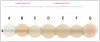 Fig 1. Translucency of several bulk-filled composites: Surefil SDR® (A, Dentsply Sirona), Filtek™ products (B, D, E, and G, 3M ESPE), and Tetric EvoFlow® and Evoceram® (C and F, Ivoclar Vivadent).