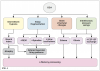 (1.) The multiple mechanisms by which OSA can impact memory processing.