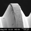 (1.) Scanning electron microscope (SEM) image at 250× magnification of a new titanium alloy (Ti-6Al-4V) prosthetic screw showing machine lines, spalling, and other inherent flaws.