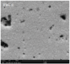<strong>(2. AND 3.) </strong>FE-SEM images of the printed 3YSZ: Green body and sintered
body after binder removal, both at 30,000× magnification.