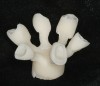 Figure 1 An example of hot-pressed ceramic restorations still attached to the sprue after pressing plasticized ceramic into a heated investment mold.