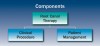 Figure 5  Endodontic services can be divided into those clinical procedures that pertain to the tooth and those that relate to the patient as a whole.